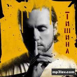 Влад Соколовский — Тишина