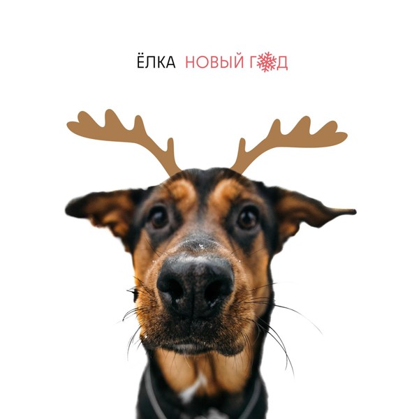 Ёлка — Новый год