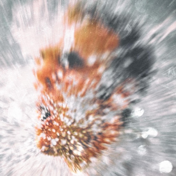 bludkidd — Тремор