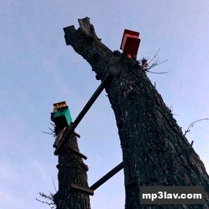 ssshhhiiittt! — засыпай