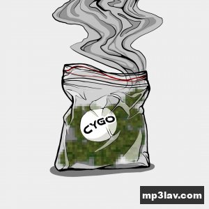 CYGO — Что потом