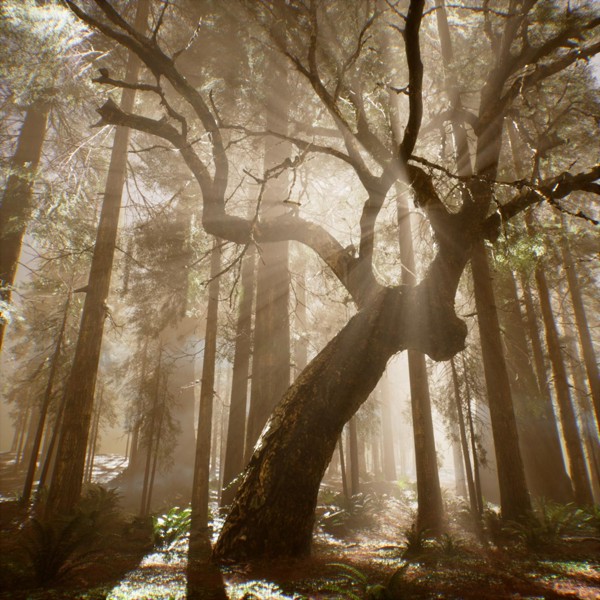 Thrill Pill — Дерево