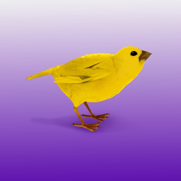 Монеточка — Шаганэ