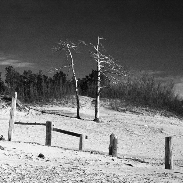 РИЧ — Тонкие девушки