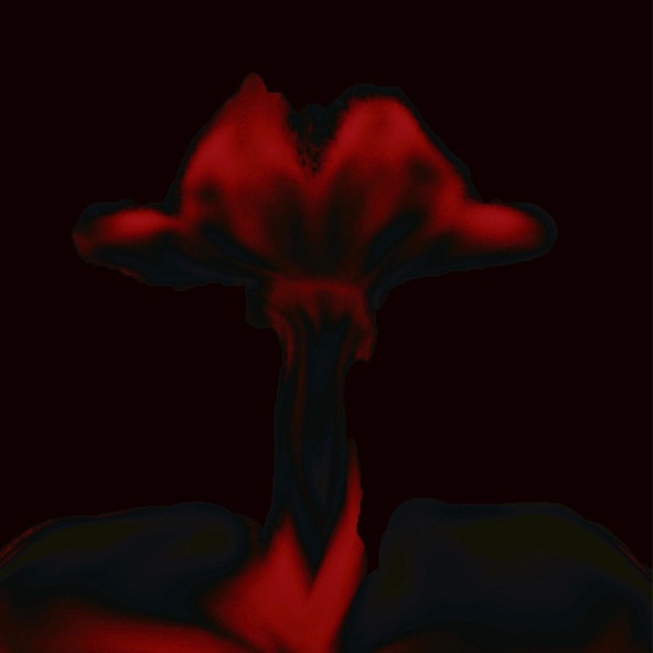 Масло Черного Тмина — Lts