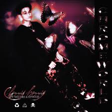 CHERRY BERRY — Chrome World