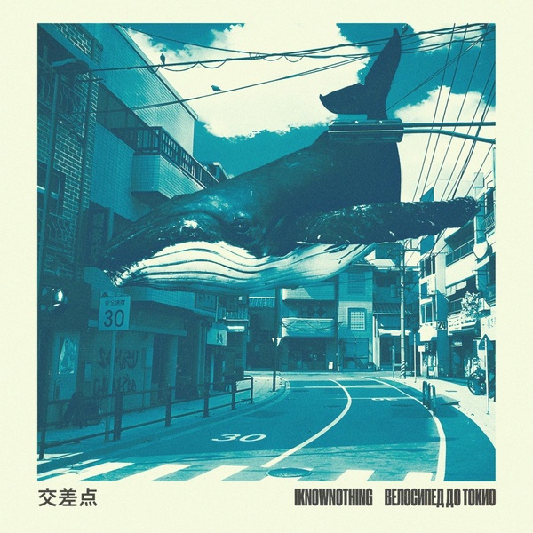 iknownothing — Whales