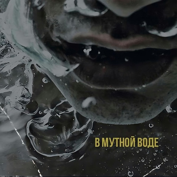 САТИСФАЕР — В мутной воде