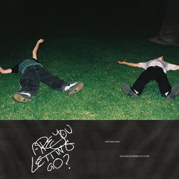 Dreamer Boy — ARE YOU LETTING GO?