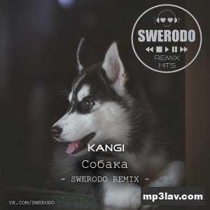 Канги — Собака (SWERODO Remix)