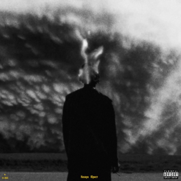 Hasaya — Юрист