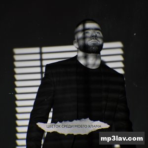 TARAS — Цветок среди моего хлама