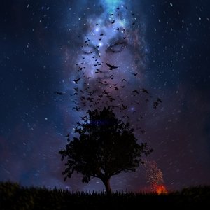 May Wave$ — Rock Star 2