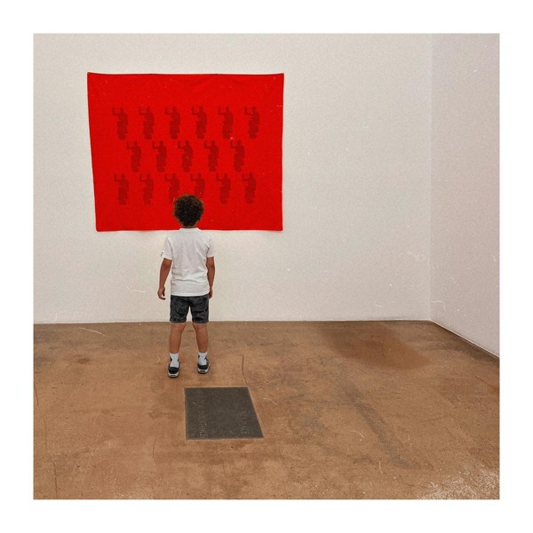 Дельфин — Вопросы