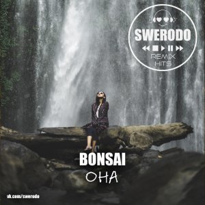 Bonsai — Она (SWERODO Remix)