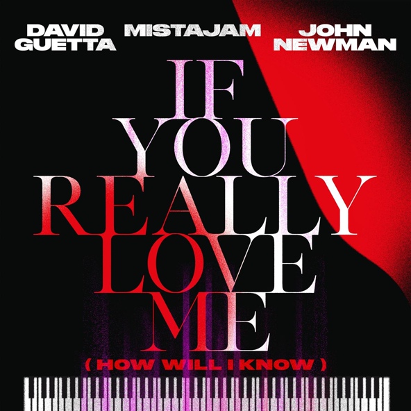 David Guetta — If You Really Love Me (How Will I Know)