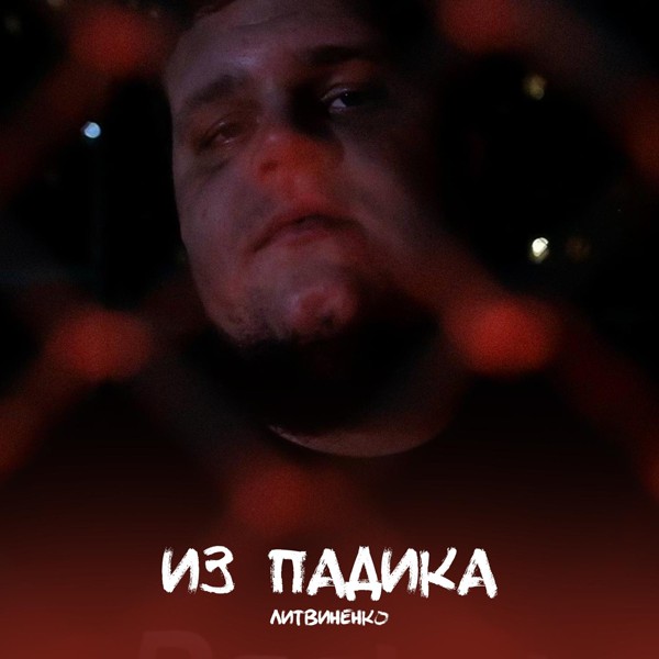 ЛИТВИНЕНКО — По городам