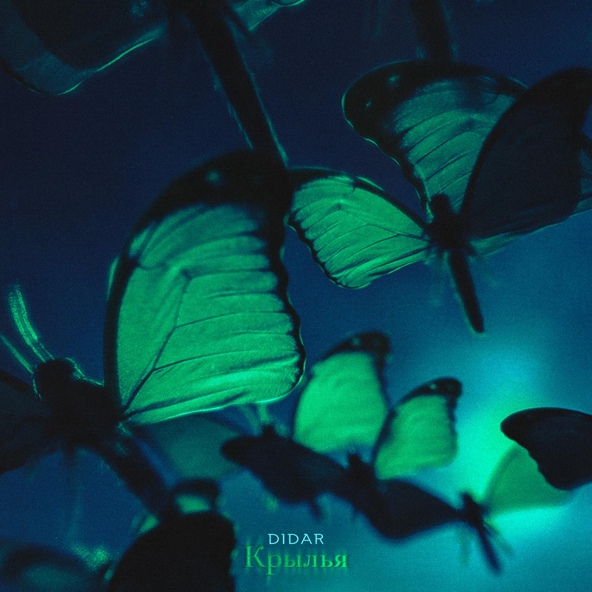 Didar — Крылья