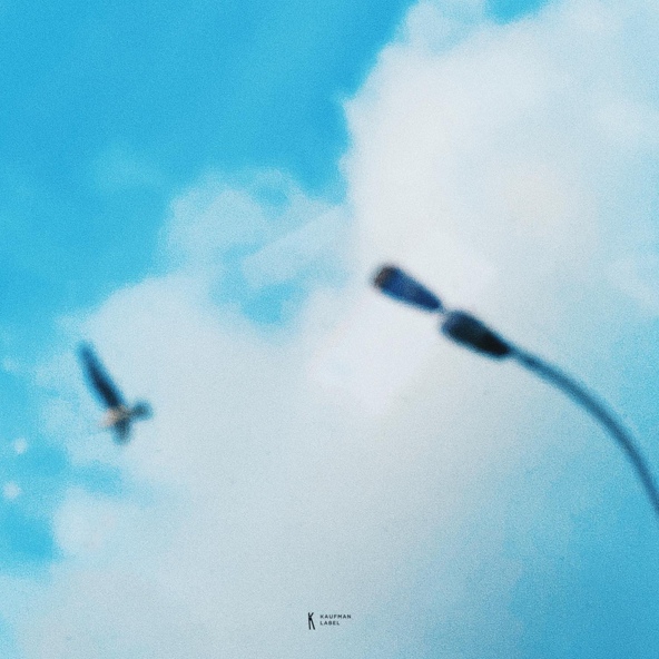 Просто Лера — Чайки над Москвой