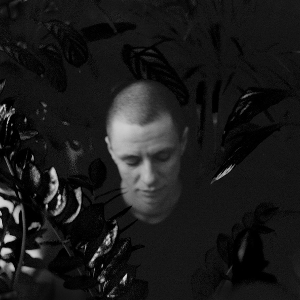 DenDerty — Бей